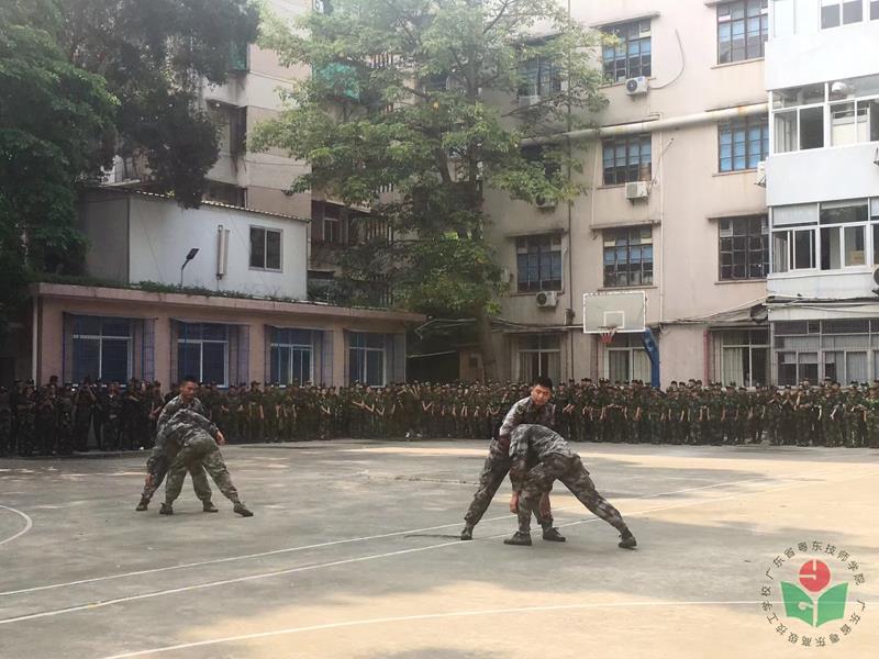 11.jpg