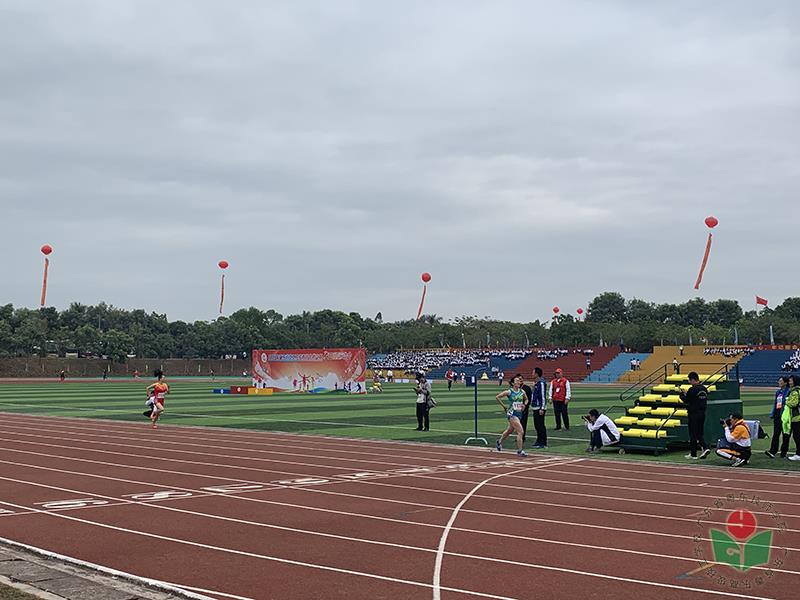 杨佳英比赛中.jpg