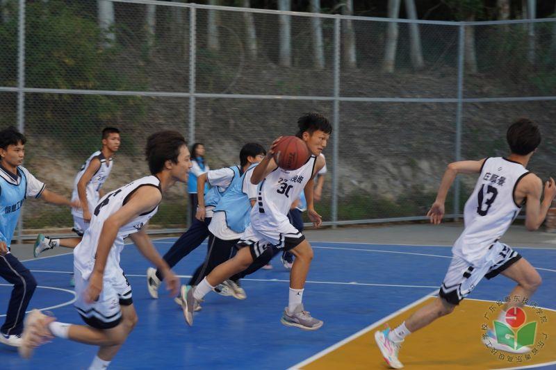 图片5.jpg